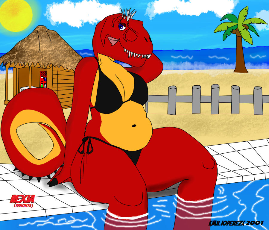 T outlet rex swimsuit