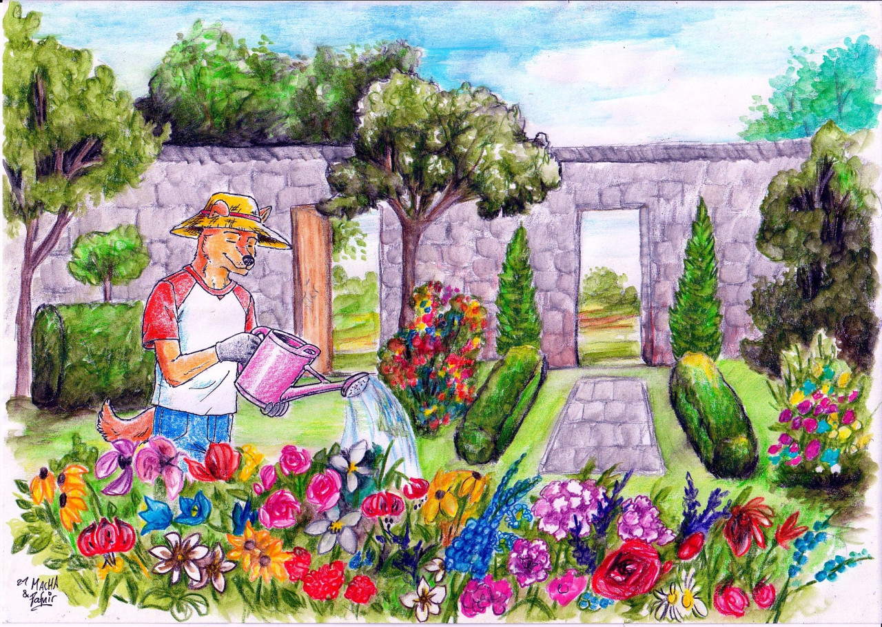 Summer Day in Village. Colorful Drawing of Country House in the Garden  Stock Photo - Image of harvest, beautiful: 150539848