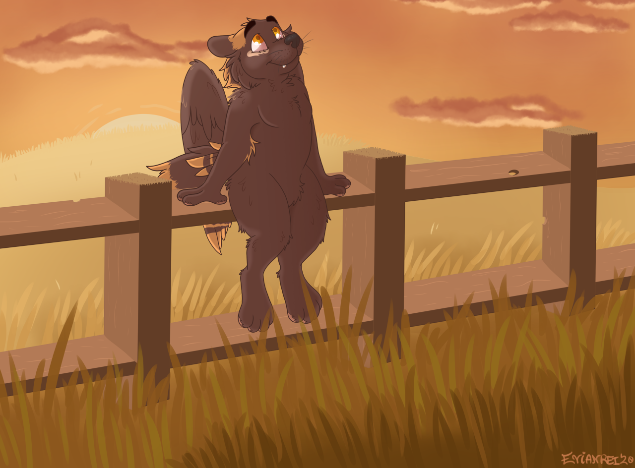Waiting to Stargaze