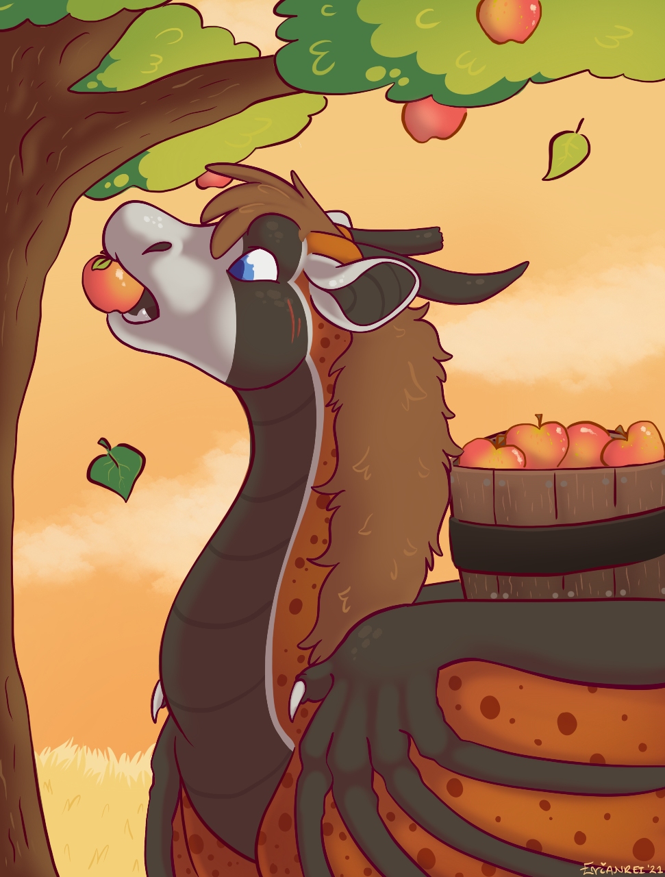 Apple Picking