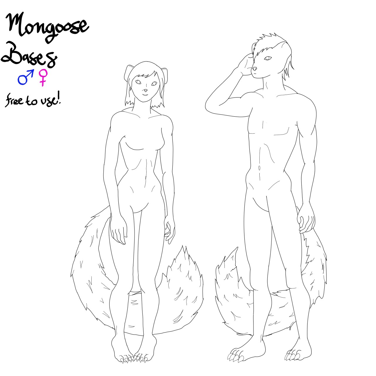 Mongoose Lineart Base Free To Use By Extinguishedhope Fur Affinity Dot Net Free character human 3d models are ready for lowpoly, rigged, animated, 3d printable, vr, ar or game. fur affinity dot net