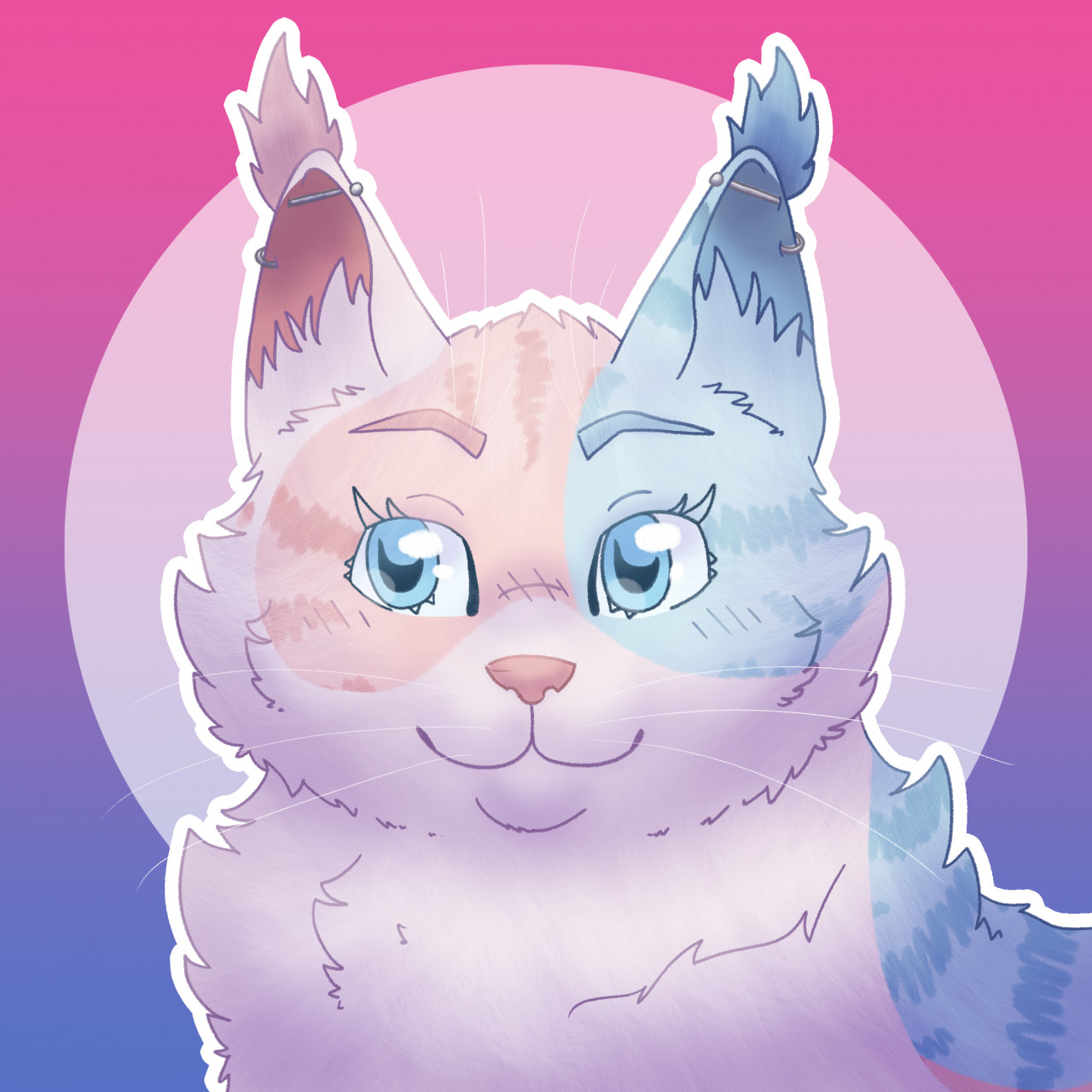 cat discord pfp ♡  Cute cats, Cute cat, Cute animals