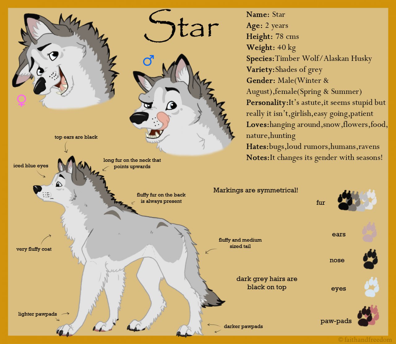 Ofwishesandstars: Star's reference sheet