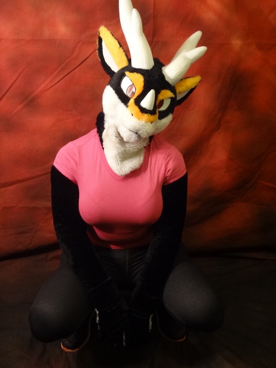 Squatting by FangTheWolf -- Fur Affinity [dot] net