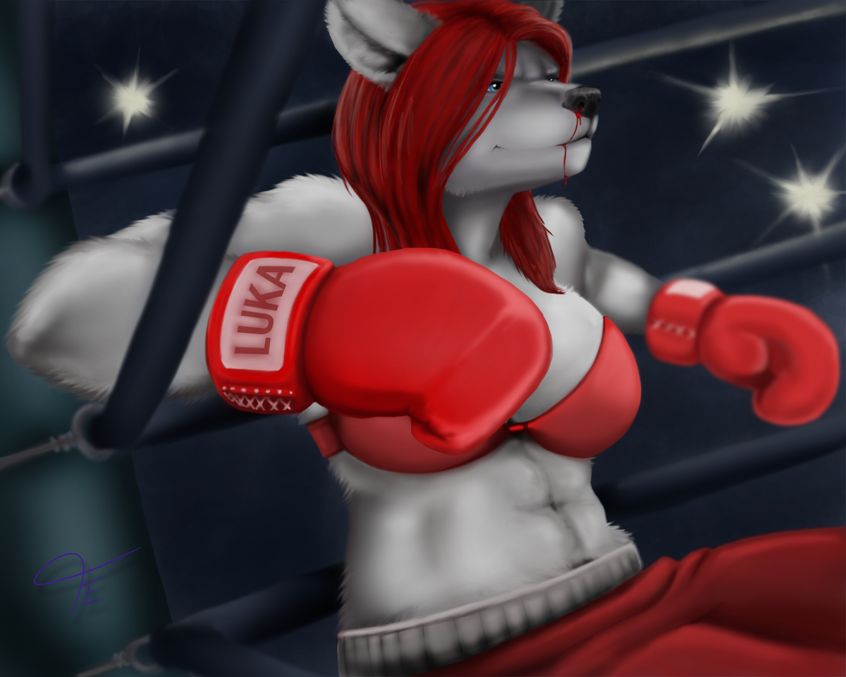 Furry boxing. Женский бокс фури. Фурри девушки бокс. Фурри реслинг. Фурии борцы.