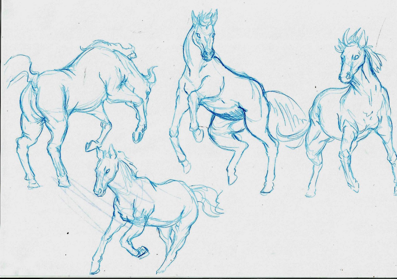 Animal Studies Part 1 - Horses by feradami -- Fur Affinity [dot] net