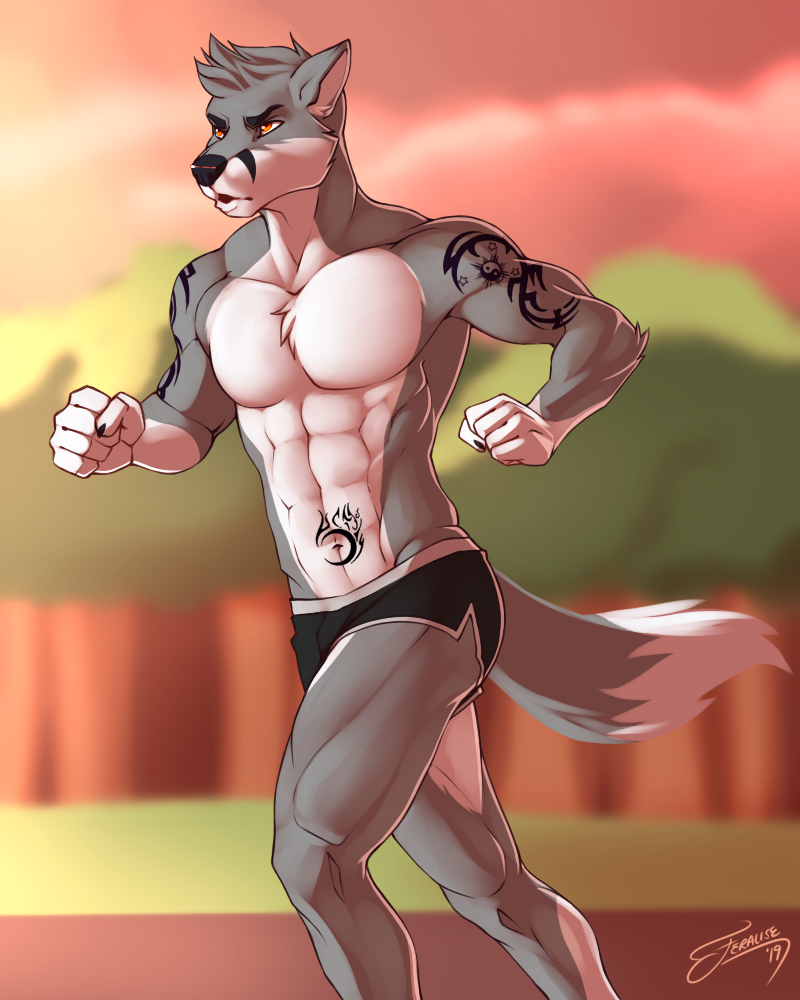 Wolf. jogging. 