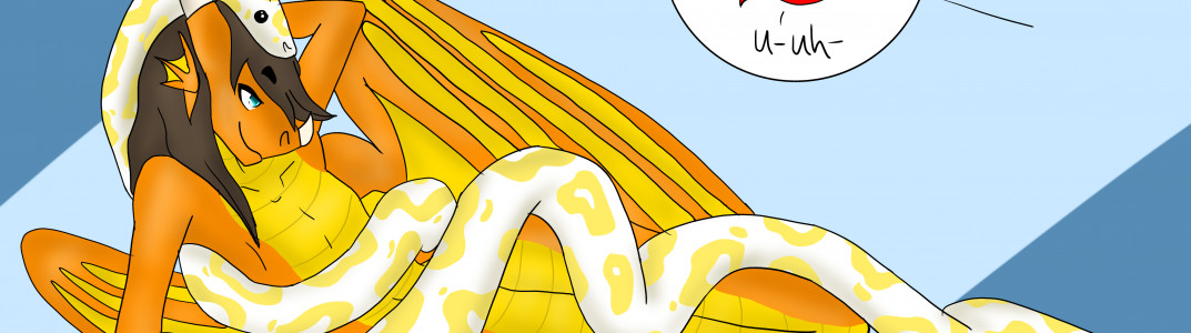 Profile Banner image