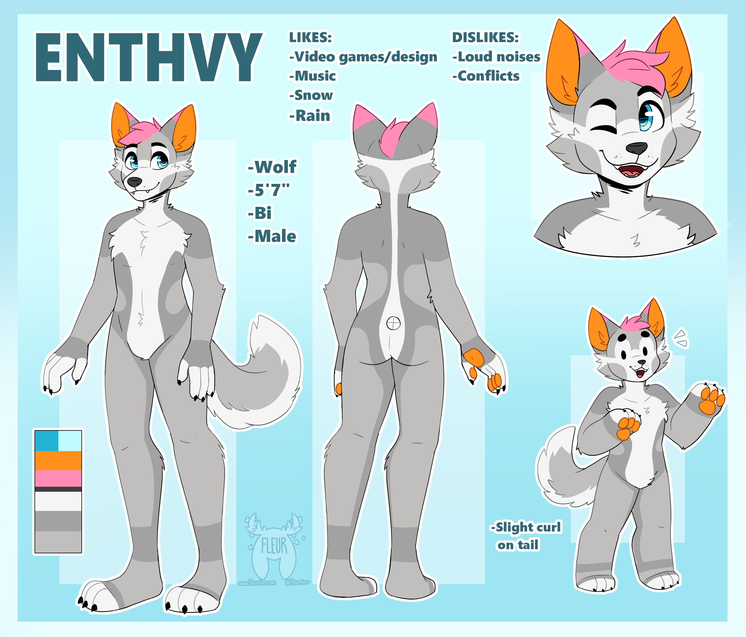 Commission Cat Full Reference Sheet (Download Now) 