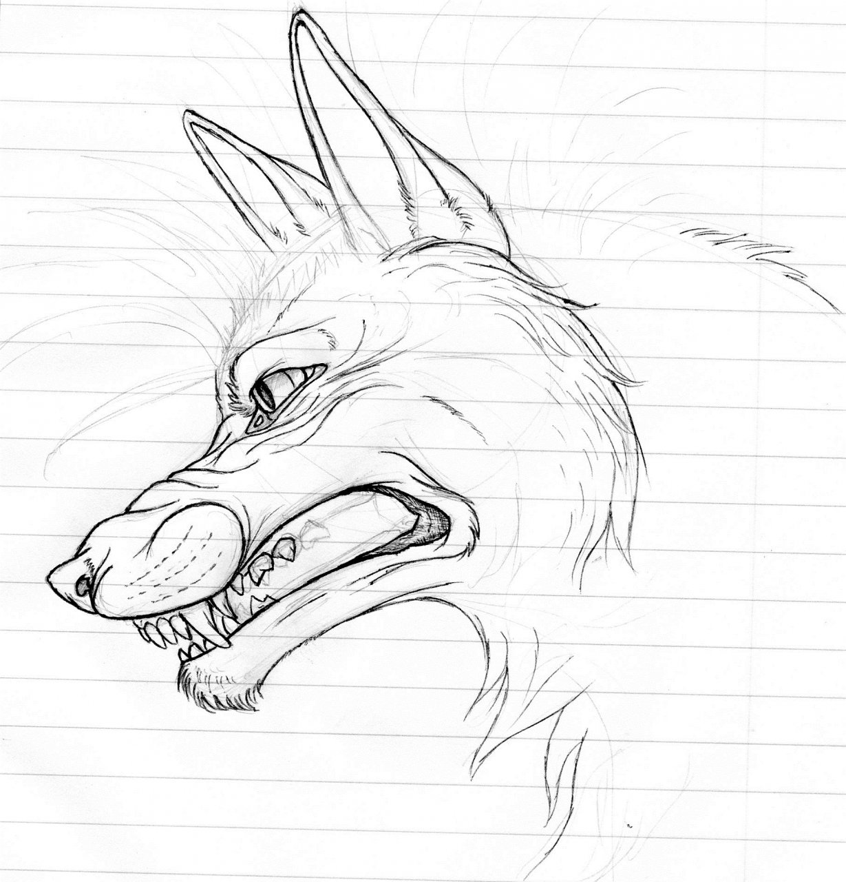 Canine Snarl Sketch by ForestEcho -- Fur Affinity [dot] net