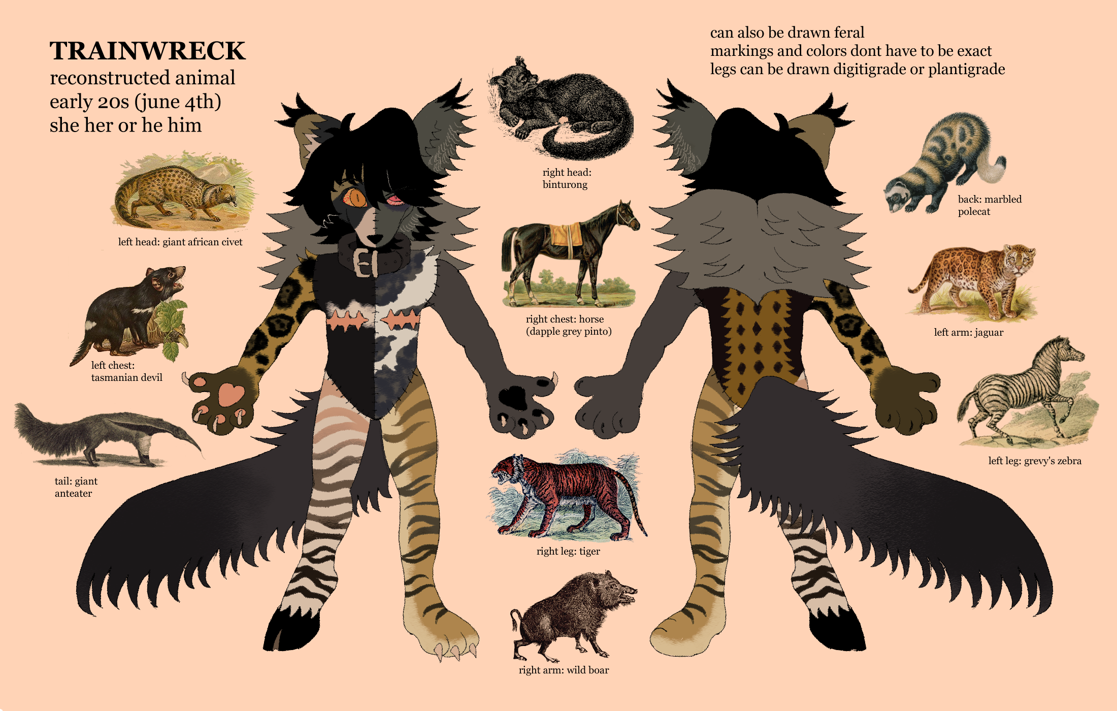 Digitigrade vs plantigrade fursuit