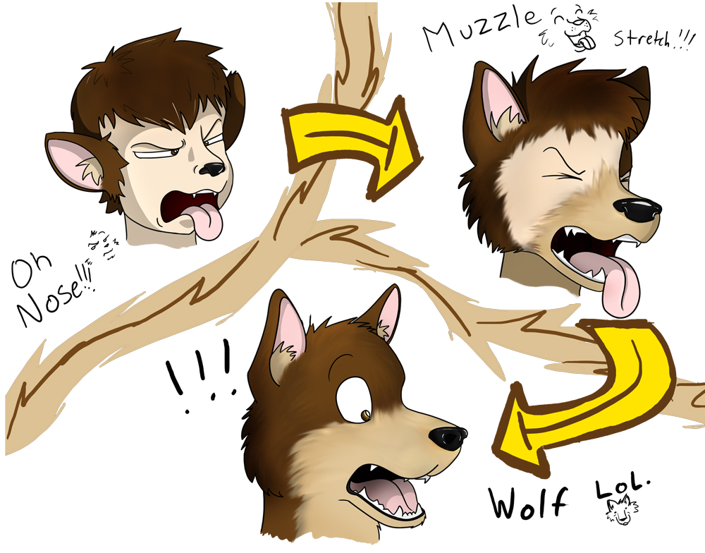 Brown Wolf Transformation 3. Click to change the View. 