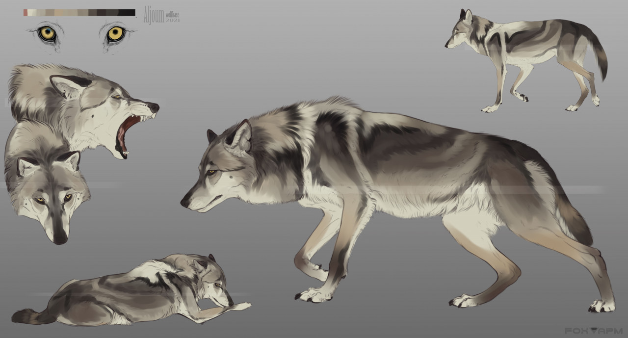 piebald wolf