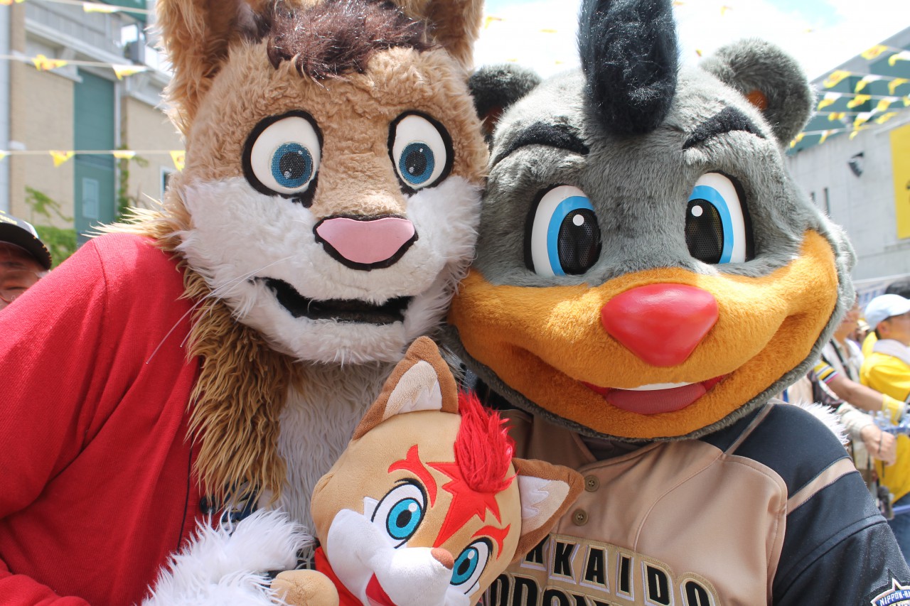 The new mascot for the Japanese baseball team Hokkaido Nippon-Ham Fighters,  Polly Polaris : r/furry