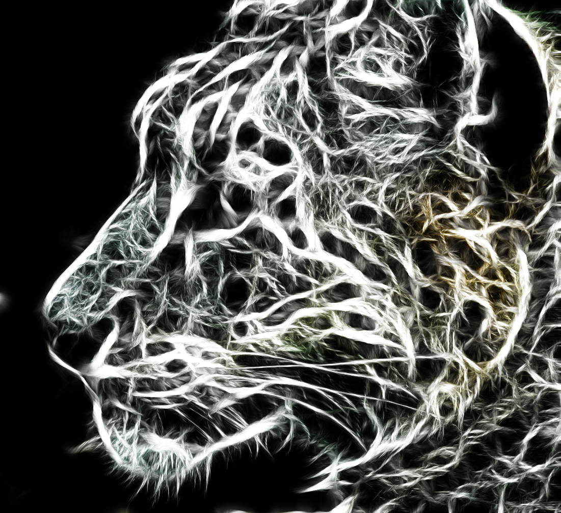 Spectral Snow Leopard by Frezo -- Fur Affinity [dot] net