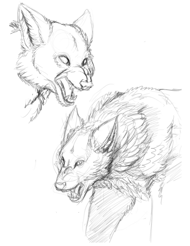 snarling wolf drawing