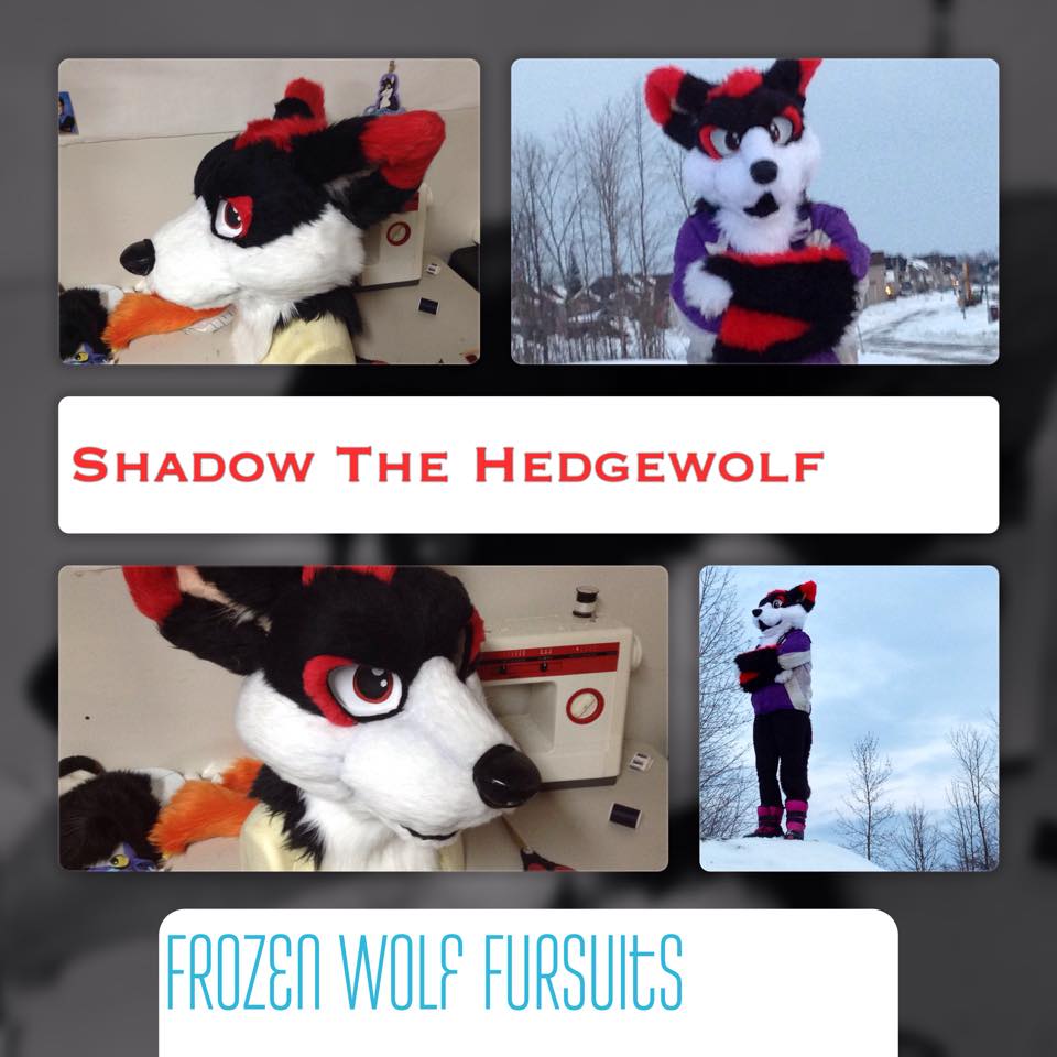 Shadow The Hedgewolf by FrozenWolfFursuits -- Fur Affinity [dot] net