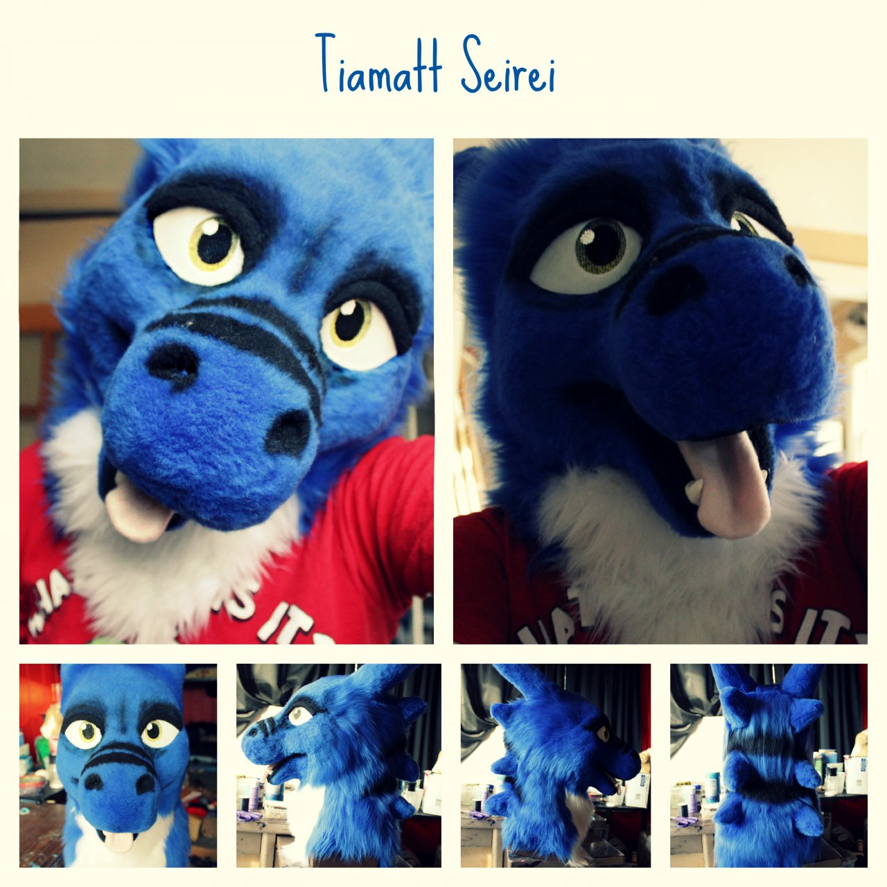 finished head of tiamatt seirel