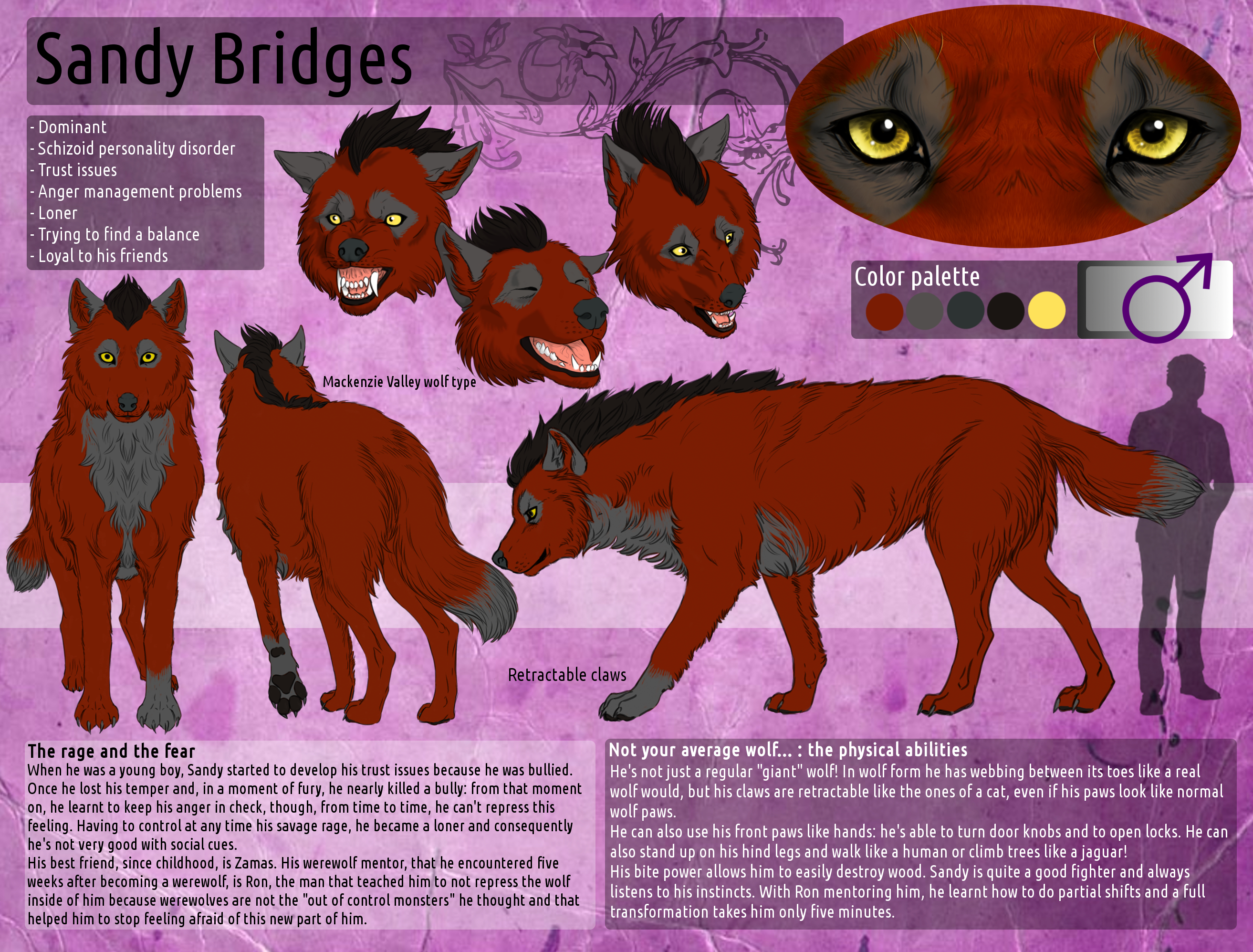 Commission Cat Full Reference Sheet (Download Now) 