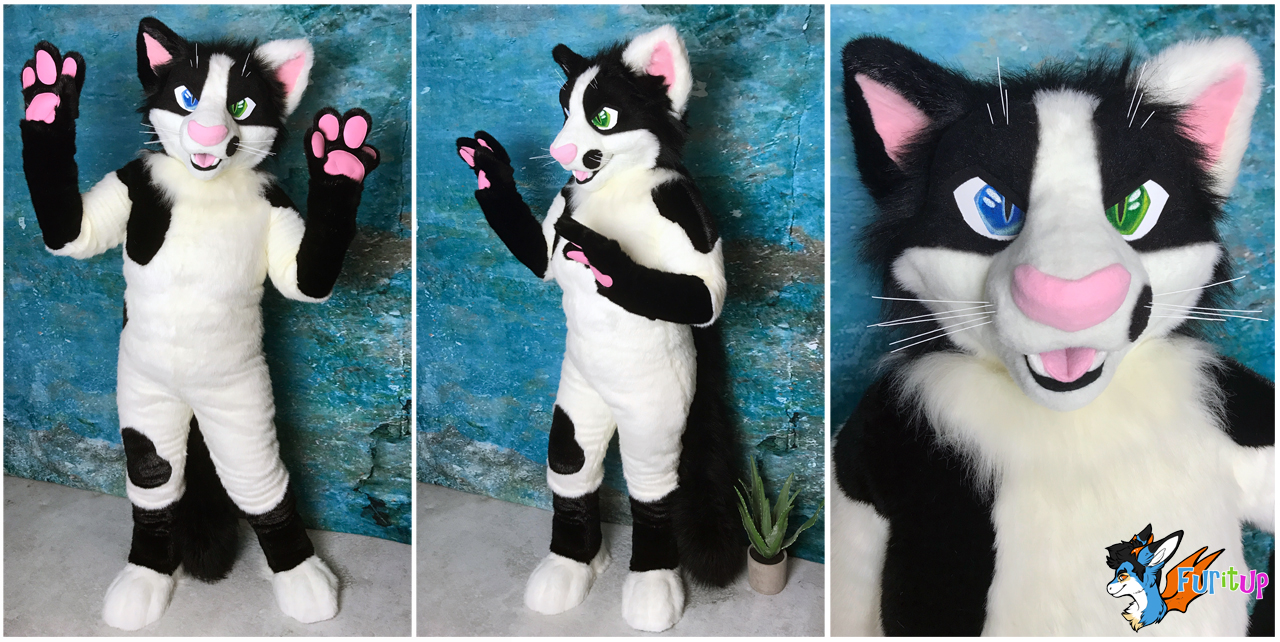 *Brand New* Cat fursuit for sale!! 