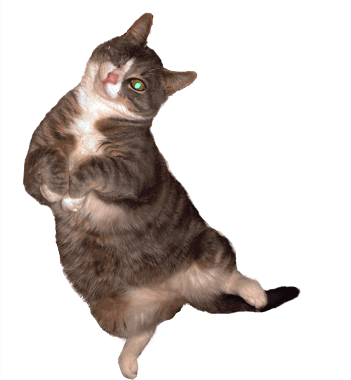 Sad Cat Dance by CuteMenace Sound Effect - Meme Button - Tuna