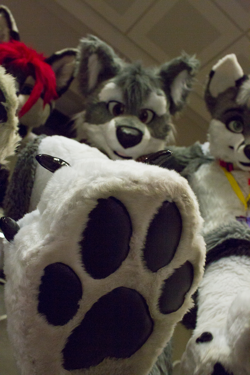 Fursuit Stomp