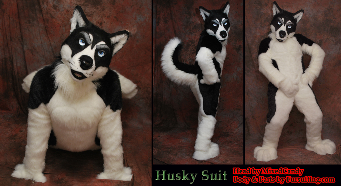 Husky in clearance suit