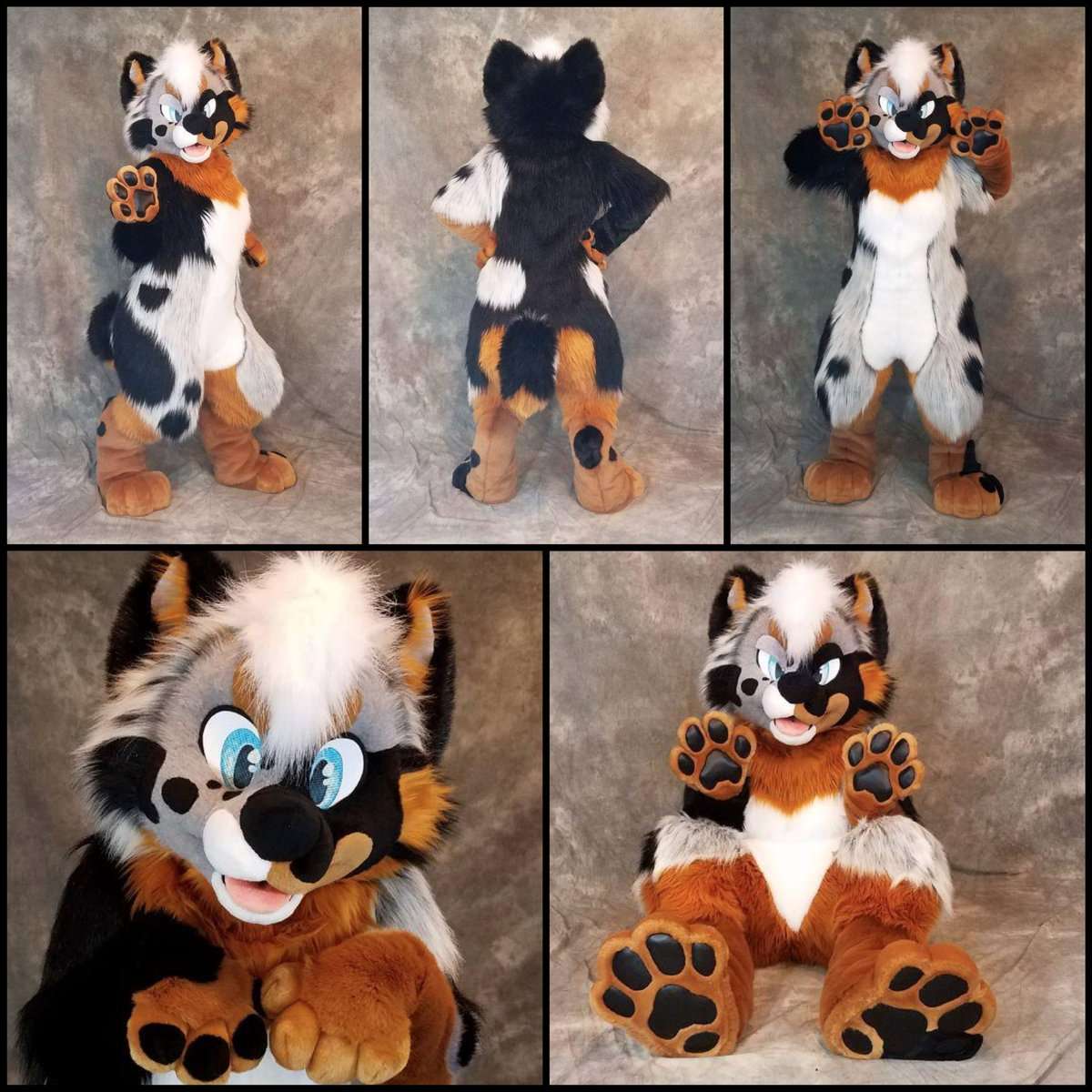 [YES] Libra the Pomeranian by Multicolor Bark by fursuitreview -- Fur ...