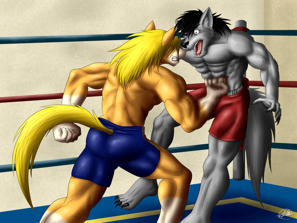 Squirt punches Paul Henry by FurvusWolf -- Fur Affinity dot 