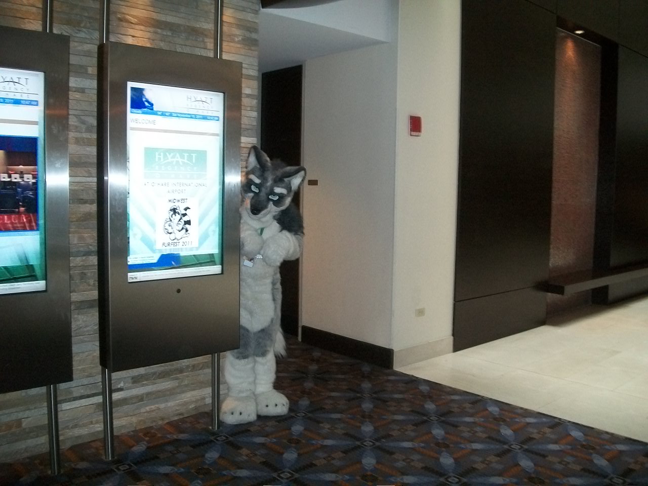 Sairys Wolf (MFF 2011)