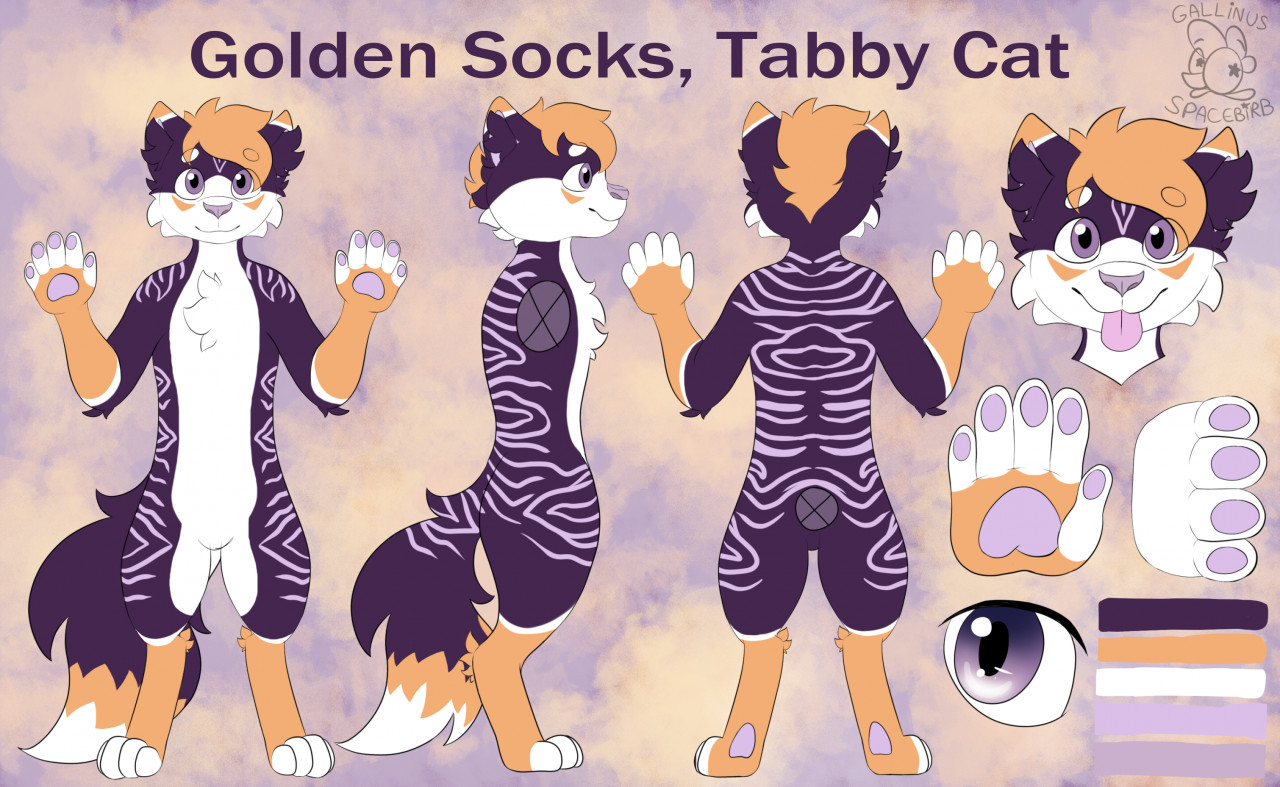 Commission Cat Full Reference Sheet (Download Now) 