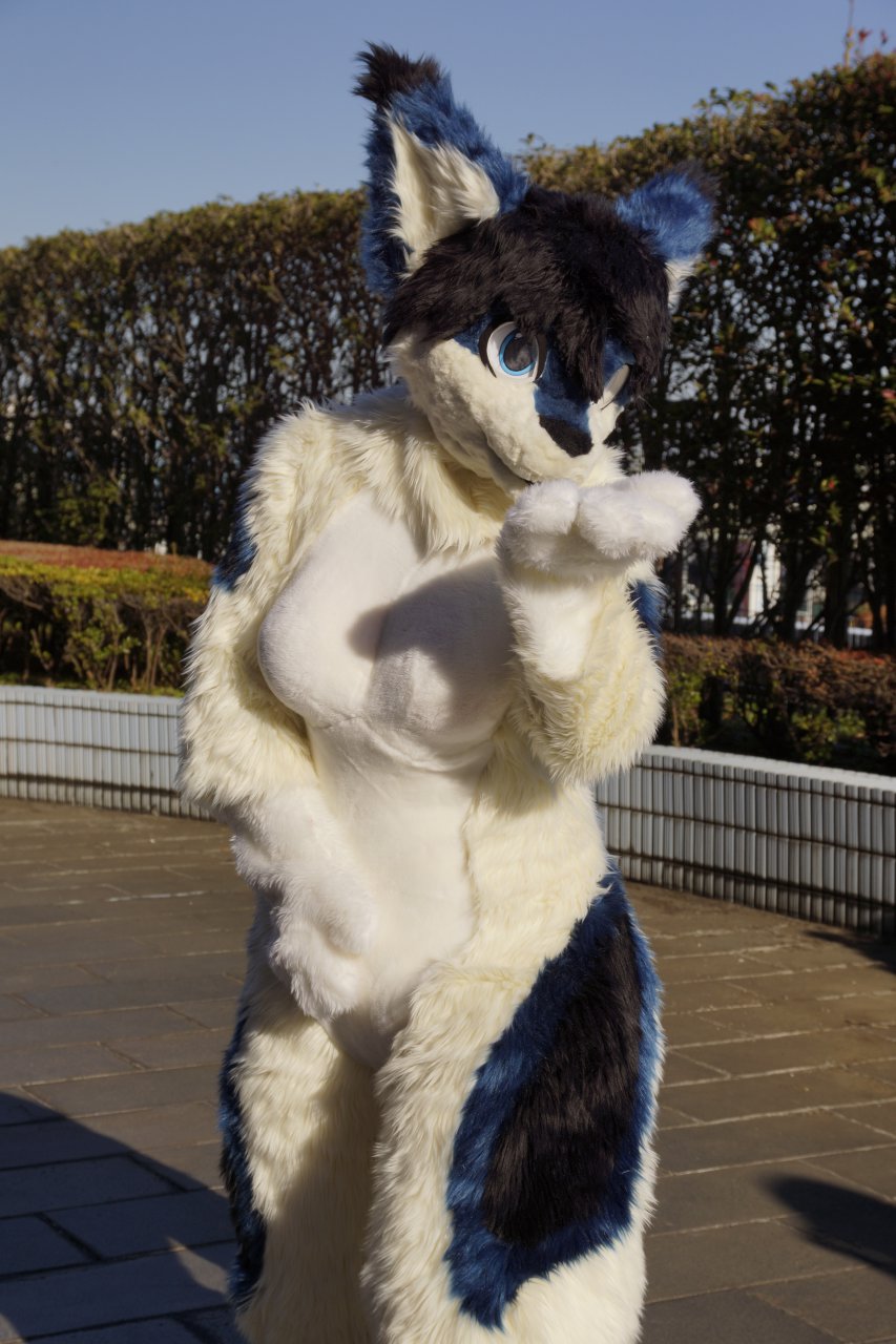 Aya - Fursuit by Garasaki -- Fur Affinity [dot] net