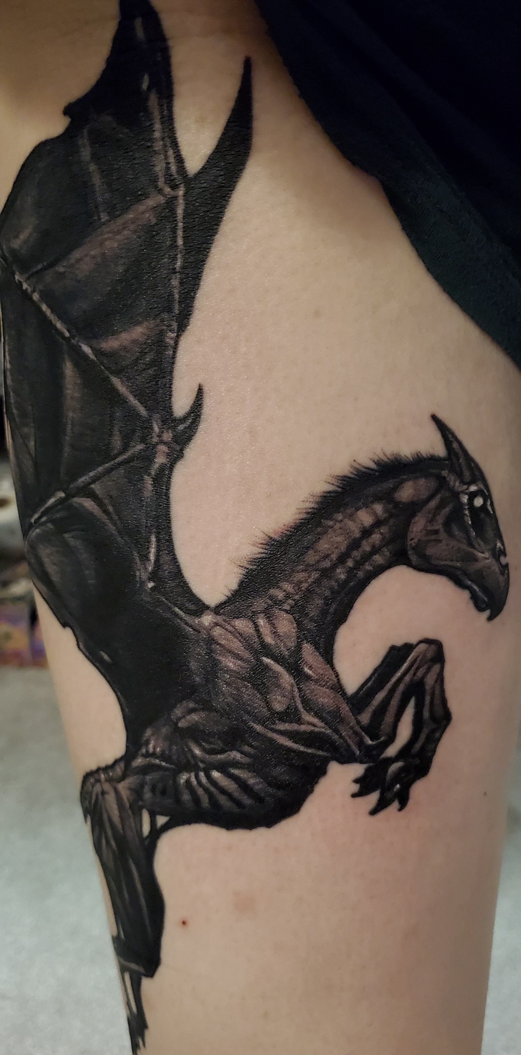 Thestral from my Harry Potter Predrawns for @courtneyshewchuk ! I can't  wait to add more cool stuff to this arm 🖤 Lines and some sha... | Instagram