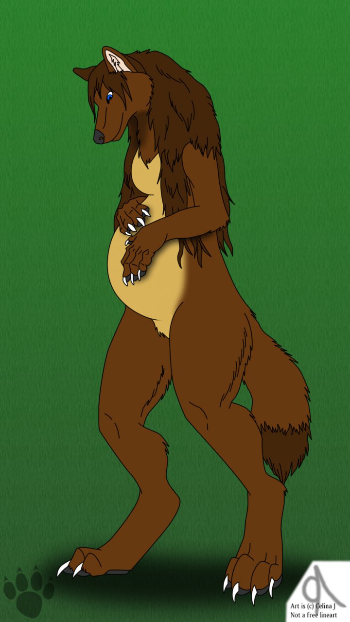 very pregnant wolf