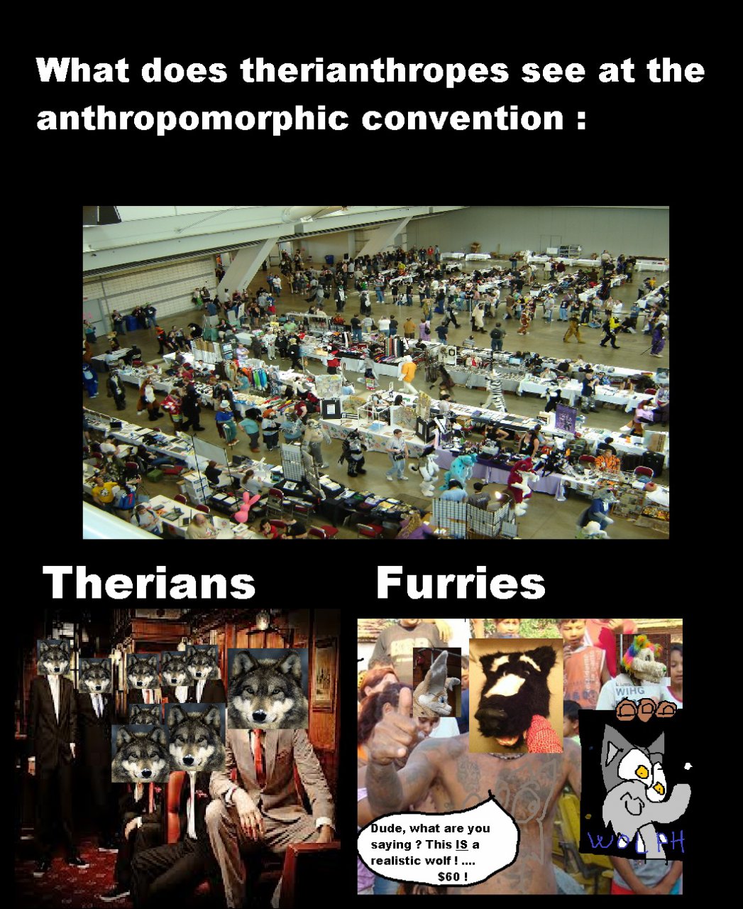 Furries VS Therians  The culture of Therians is taking over the