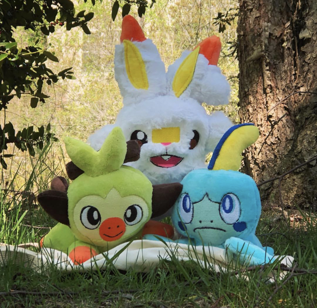 galar region plush