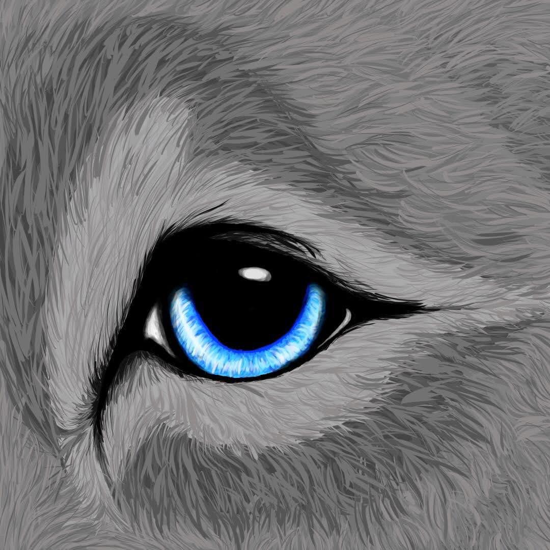 how to draw wolf eyes