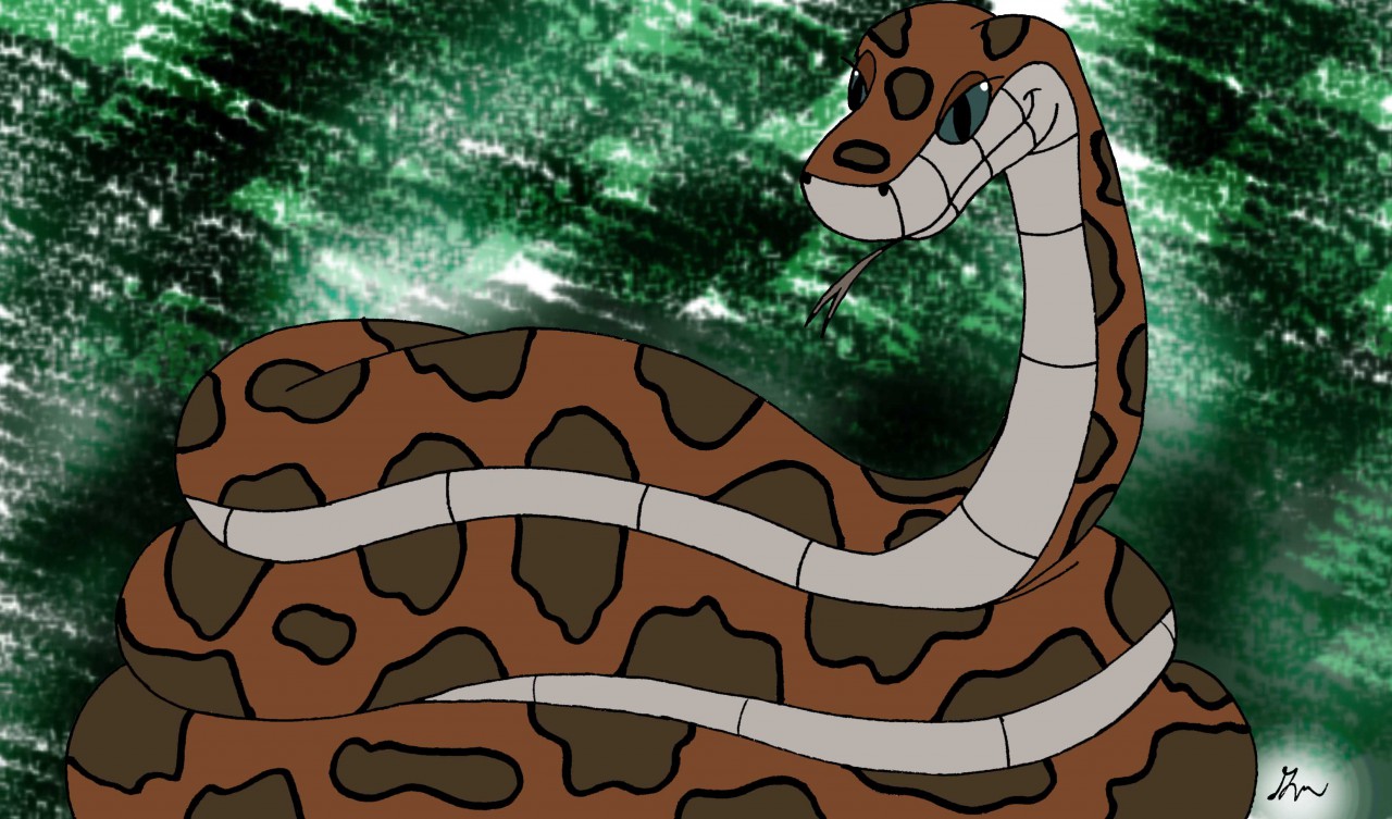 Female kaa