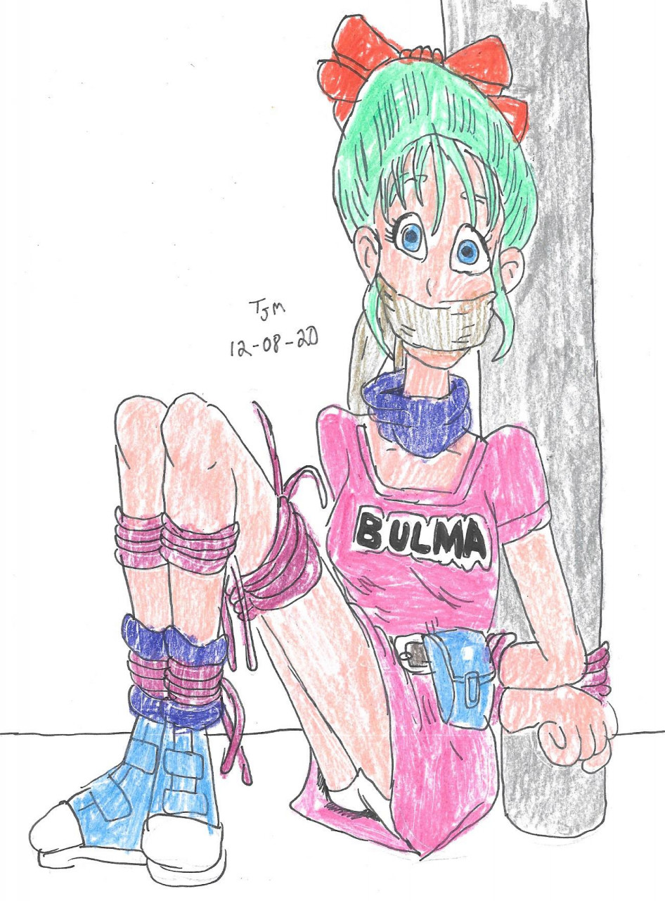 WCB DECEMBER Bulma Pink Dress by godzilla713 -- Fur Affinity [dot] net