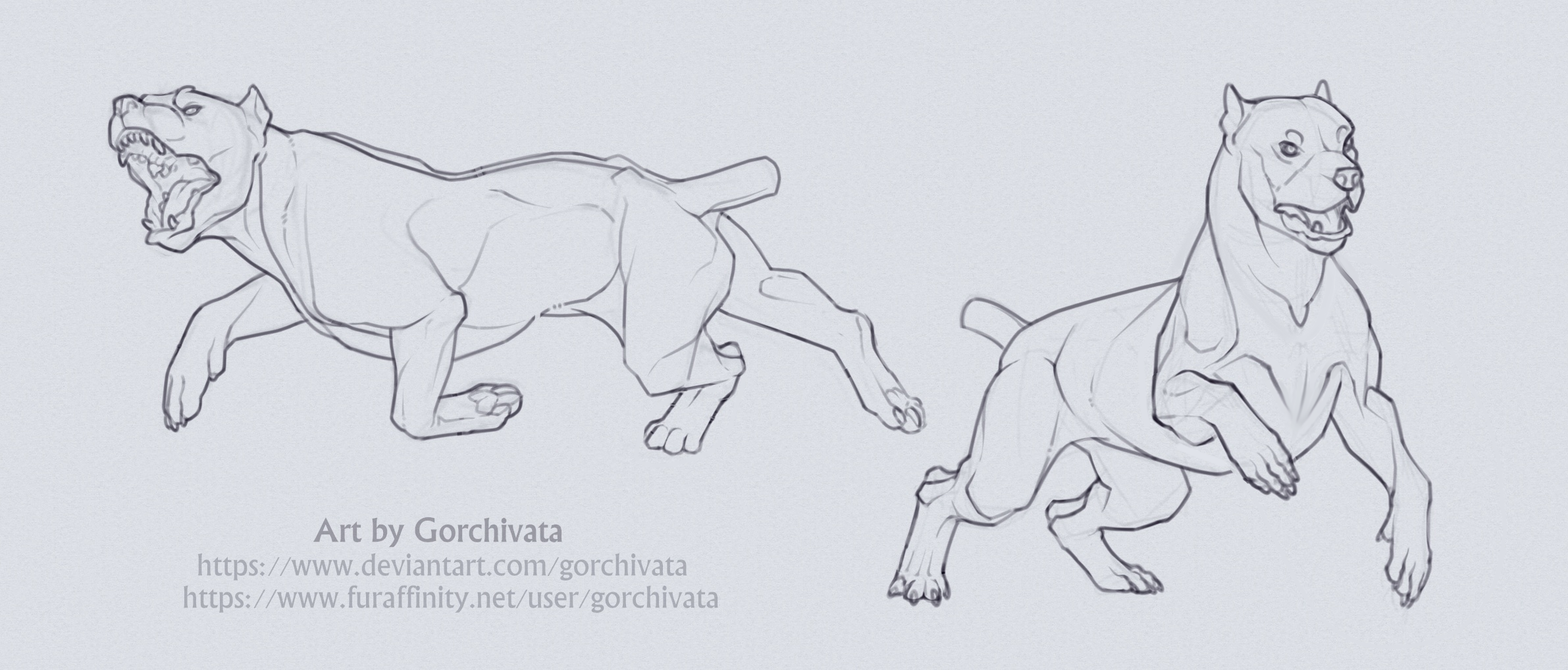 Dogs_Study by Gorchivata -- Fur Affinity [dot] net