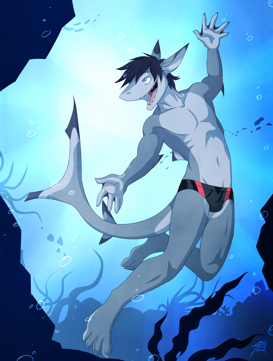 anthro shark guy