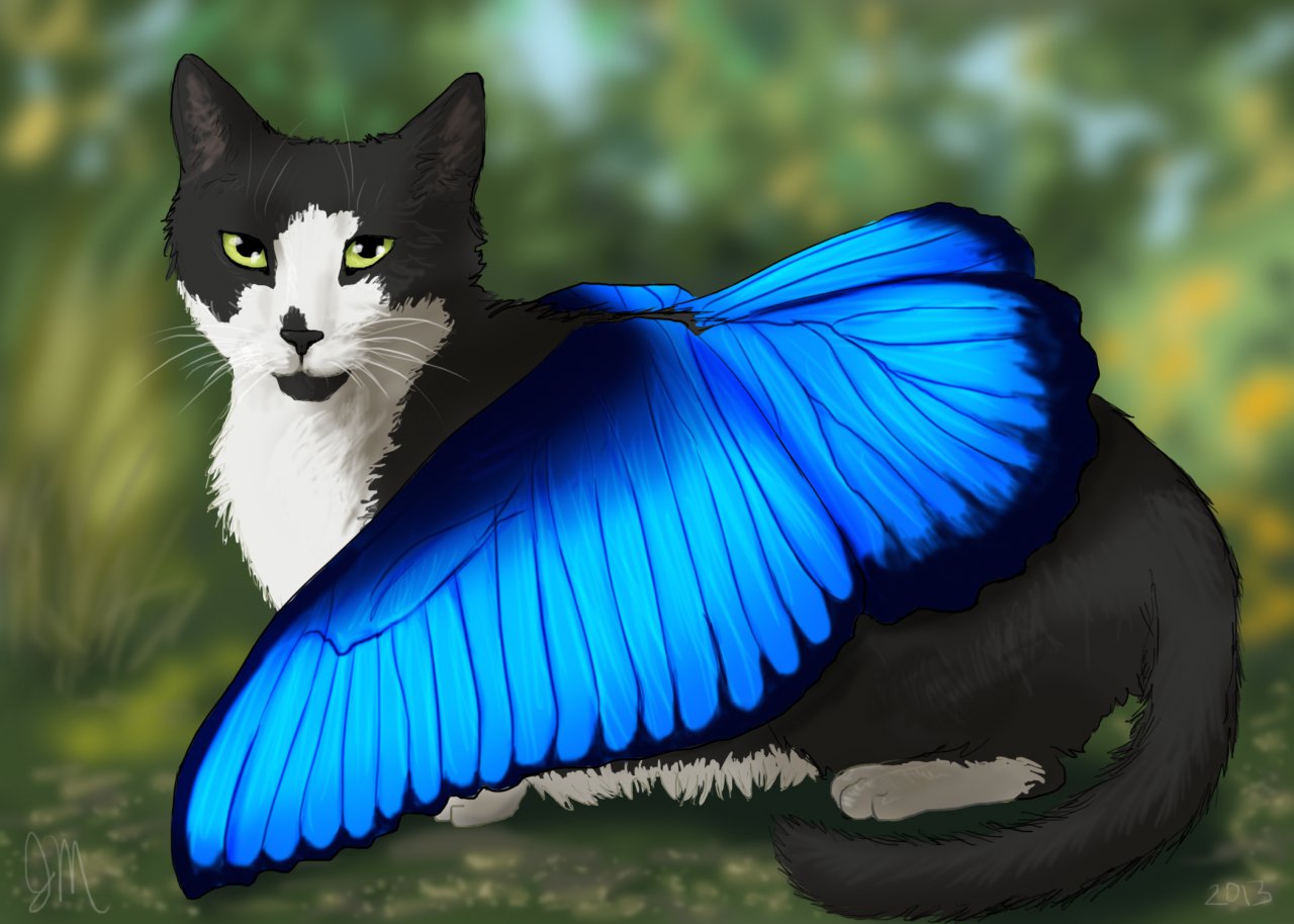 Cat with cheap butterfly wings