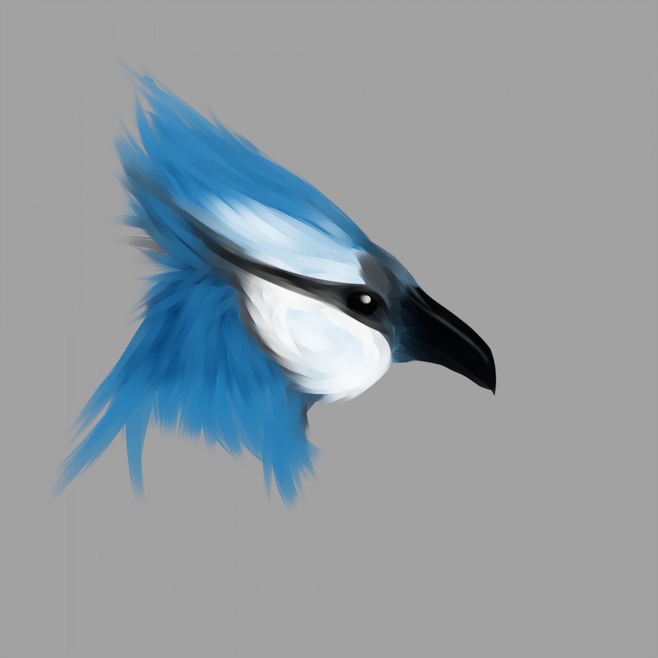 Minimalist Blue Jay - Dragonflies and Hummingbirds - Digital Art, Animals,  Birds, & Fish, Birds, Bluejays - ArtPal