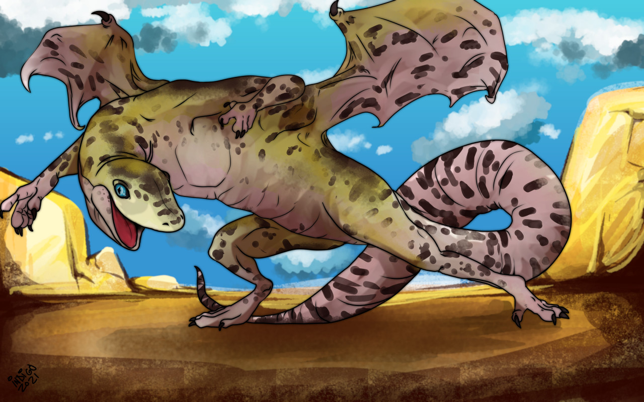 Leopard Gecko Dragon