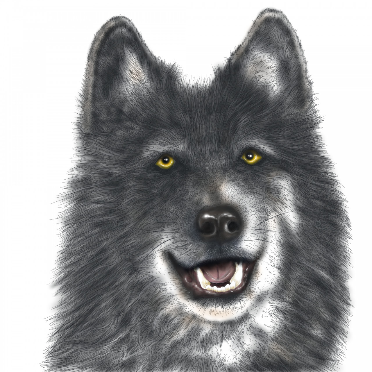 wolfoo smile