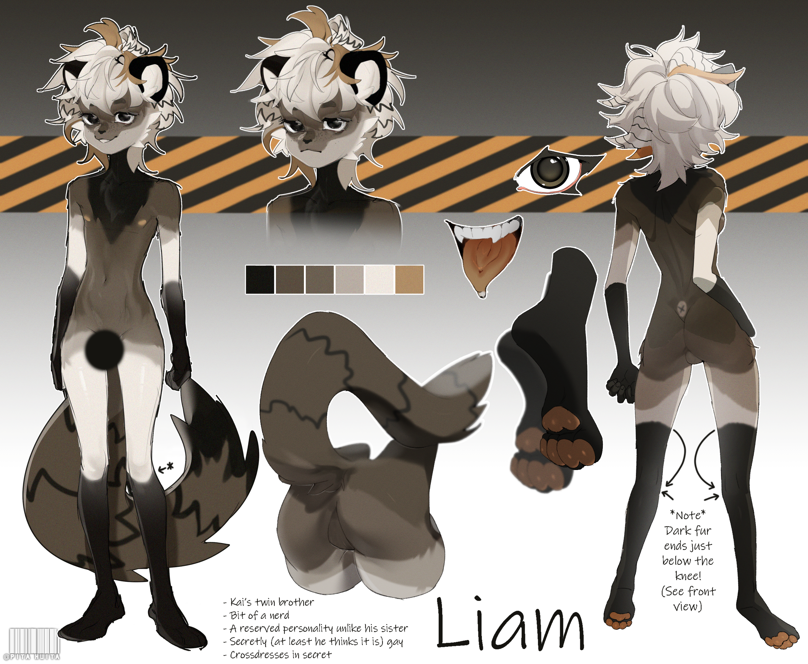 Liam (SFW Ref Sheet) by grny -- Fur Affinity [dot] net