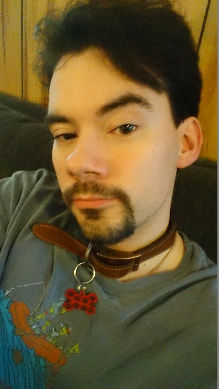 collar-display-picture-by-gubru-fur-affinity-dot-net