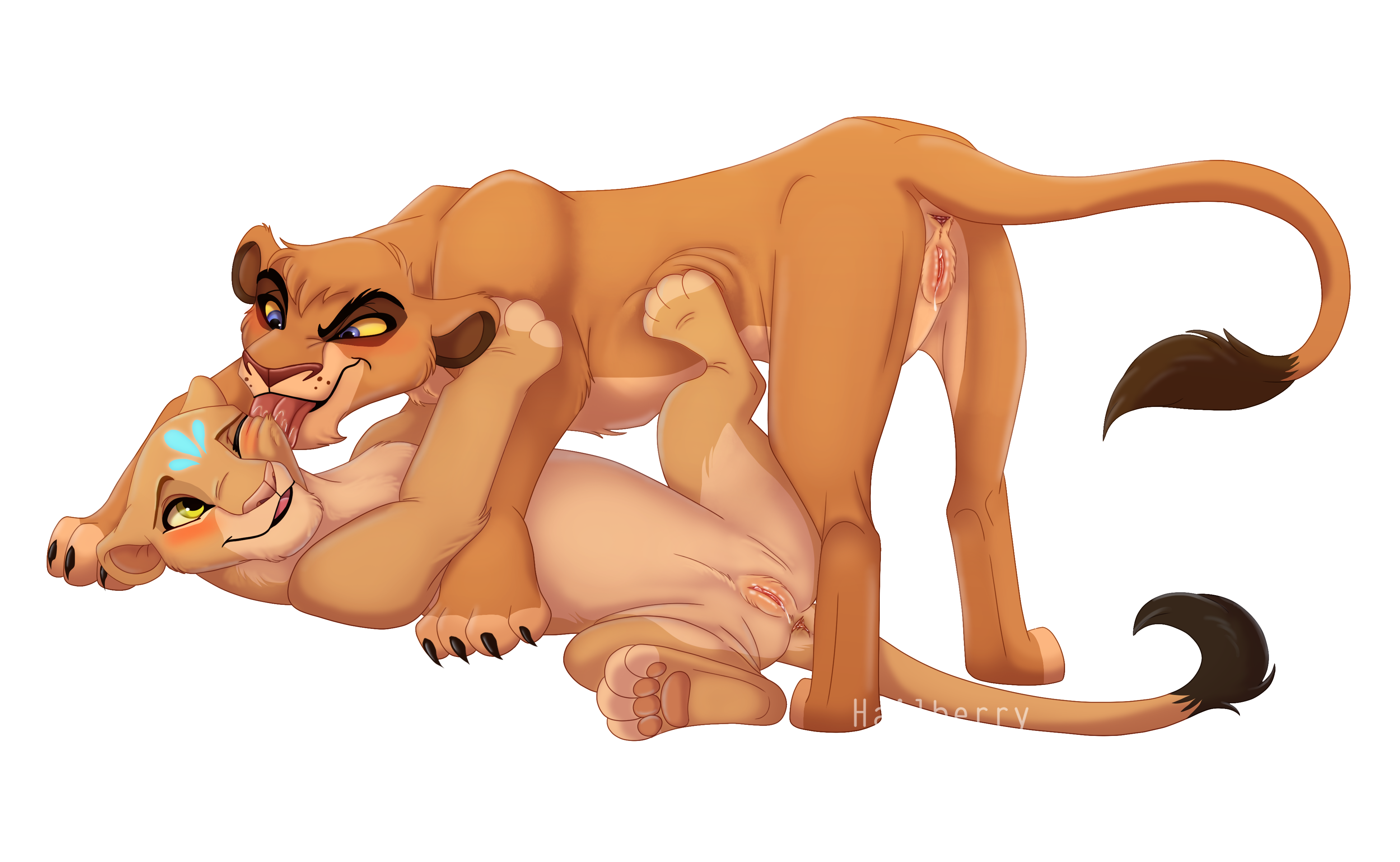 1628413830.hailberry_lioness_lovers.png