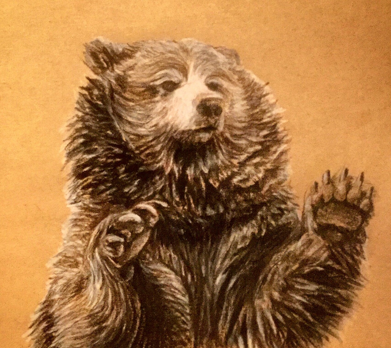 Bear Drawing by Bear-Art-Drawings on DeviantArt