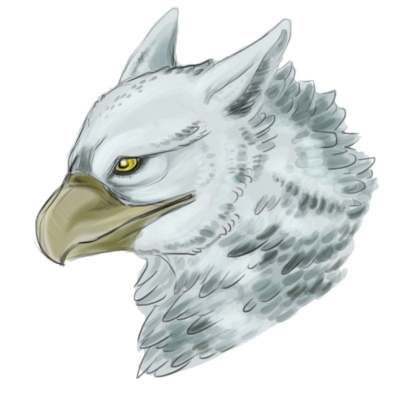 Gryphon on sale Head Study